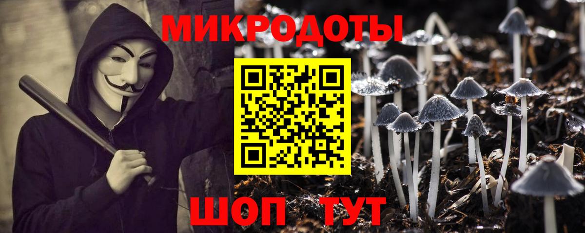 как найти   Вход с VPN  Новоалександровск  Галлюциногенные грибы GOLDEN TEACHER 