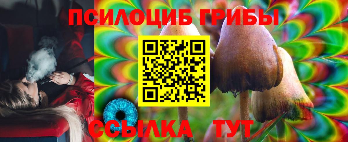 Псилоцибиновые грибы Psilocybine cubensis Новоалександровск